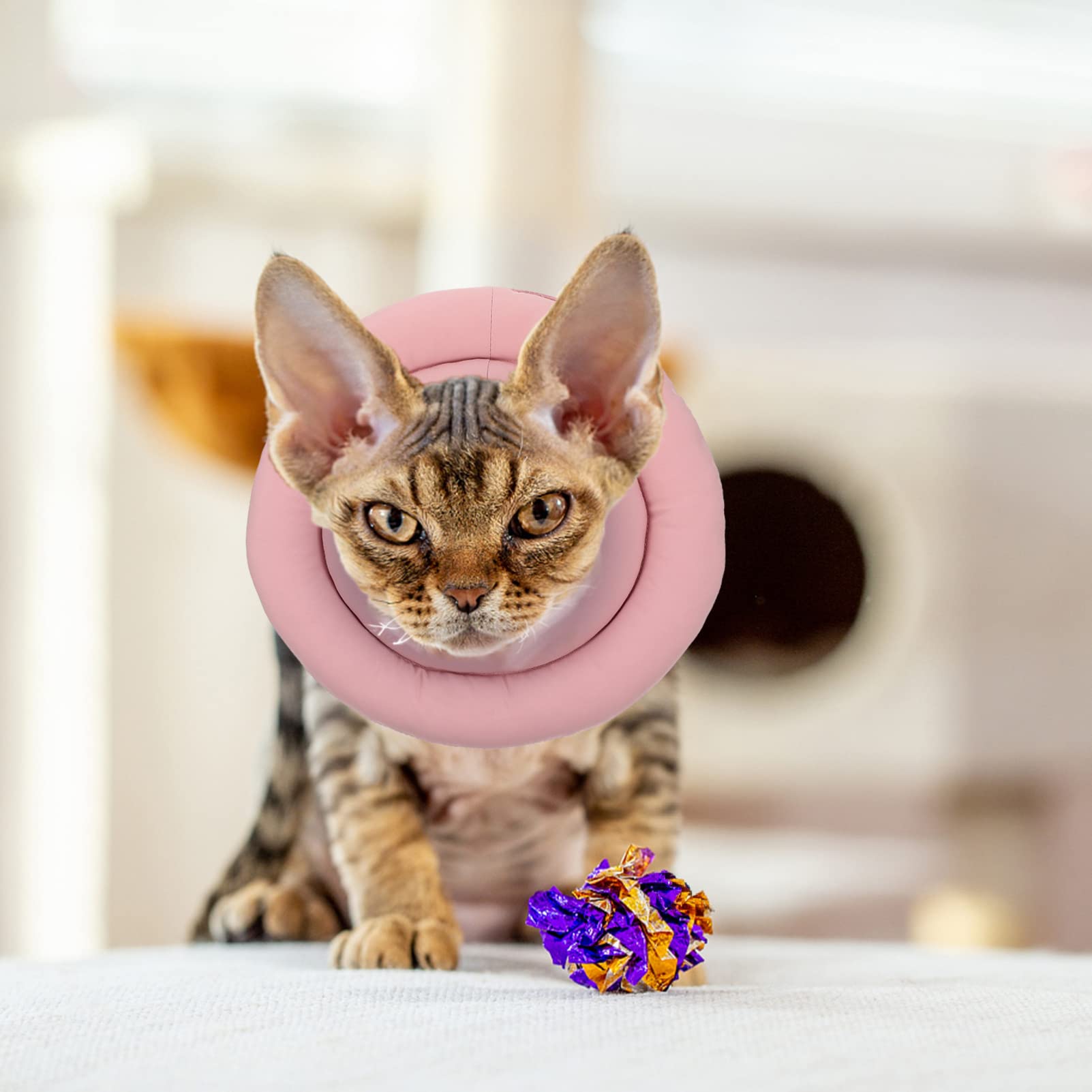 POPETPOP 3pezzi Collare Protettivo Per Gatti Collare Elisabettiano Per Antileccamento e Protezione Ferite Facile Da Indossare e Rimuovere Adatto Per Bagno e Toelettatura Per Gattini e Cani