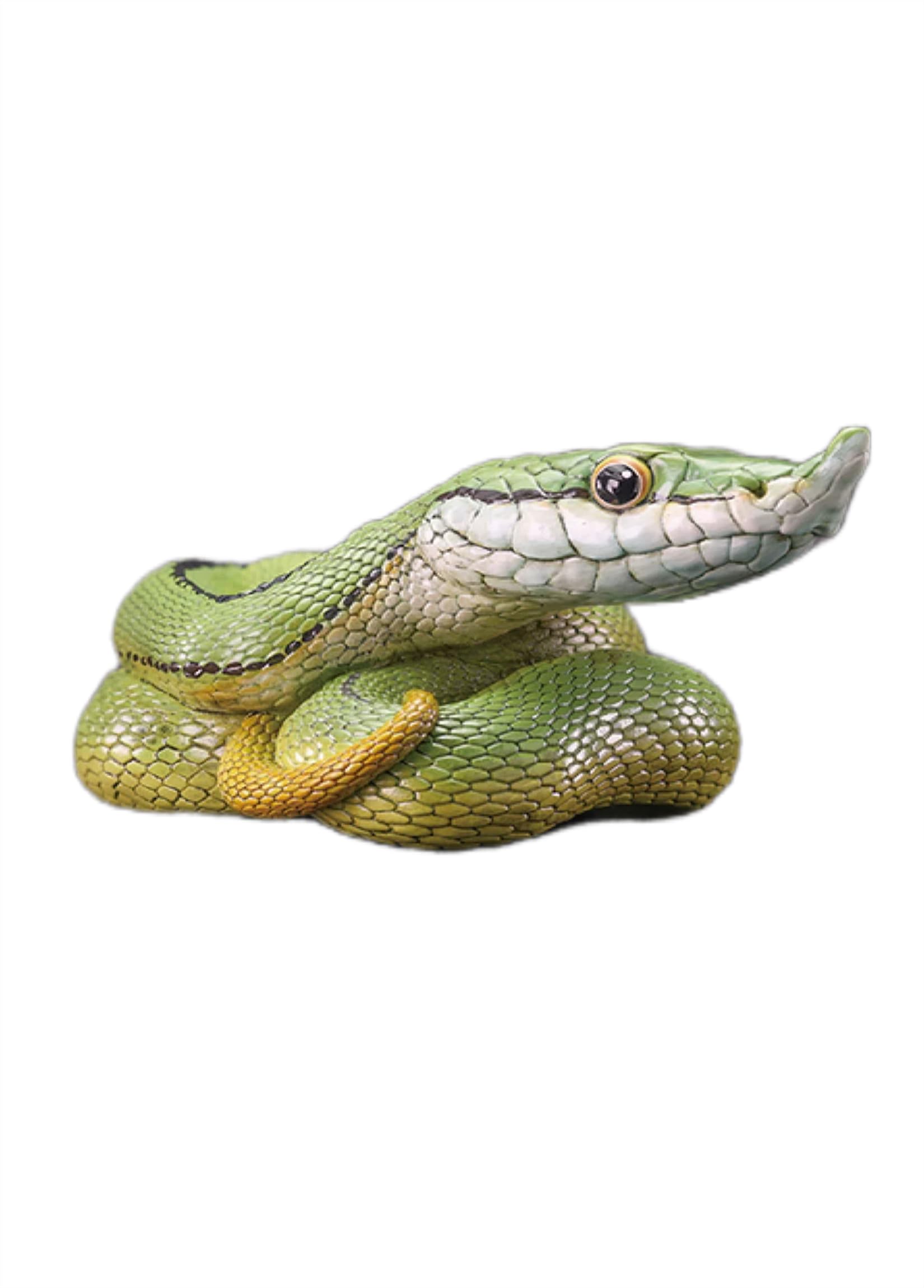【極美品】ホワイトスネイク　限定Box 'O' Snakes Amazon.co.jp: Little Box 'O' Snakes-Sunburst Years 1978-1982