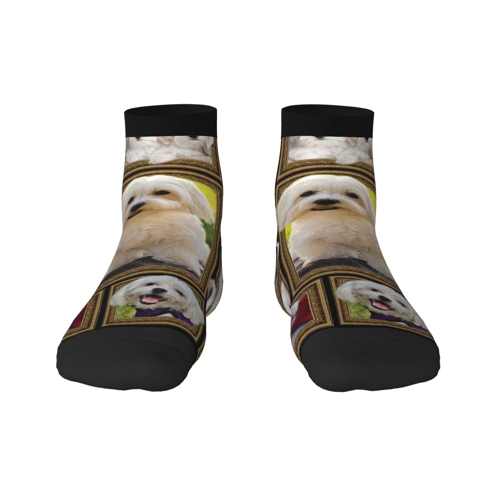 FWJZDSP Maltese Dog Low Cut Ankle Socks 11 No-Show Moisture-Wicking Socks For Men Women