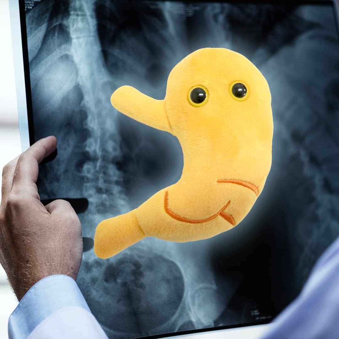 GIANT MICROBES Stomach Plush, Gastric Bypass Must Haves, Bariatric Surgery Must Haves, Gastroenterology Gifts, Surgical Tech Gifts, Acid Reflux, Dietitian Gift, Stomach Cancer Awareness, IBS Warrior - Image 7