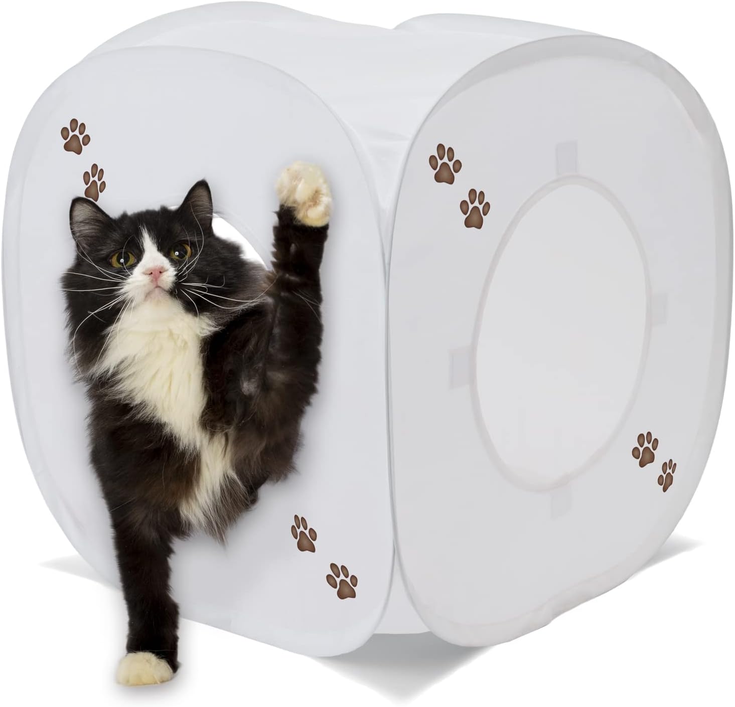 Amazon Co Jp 猫壱 キャットプレイキューブ ホワイト ペット用品
