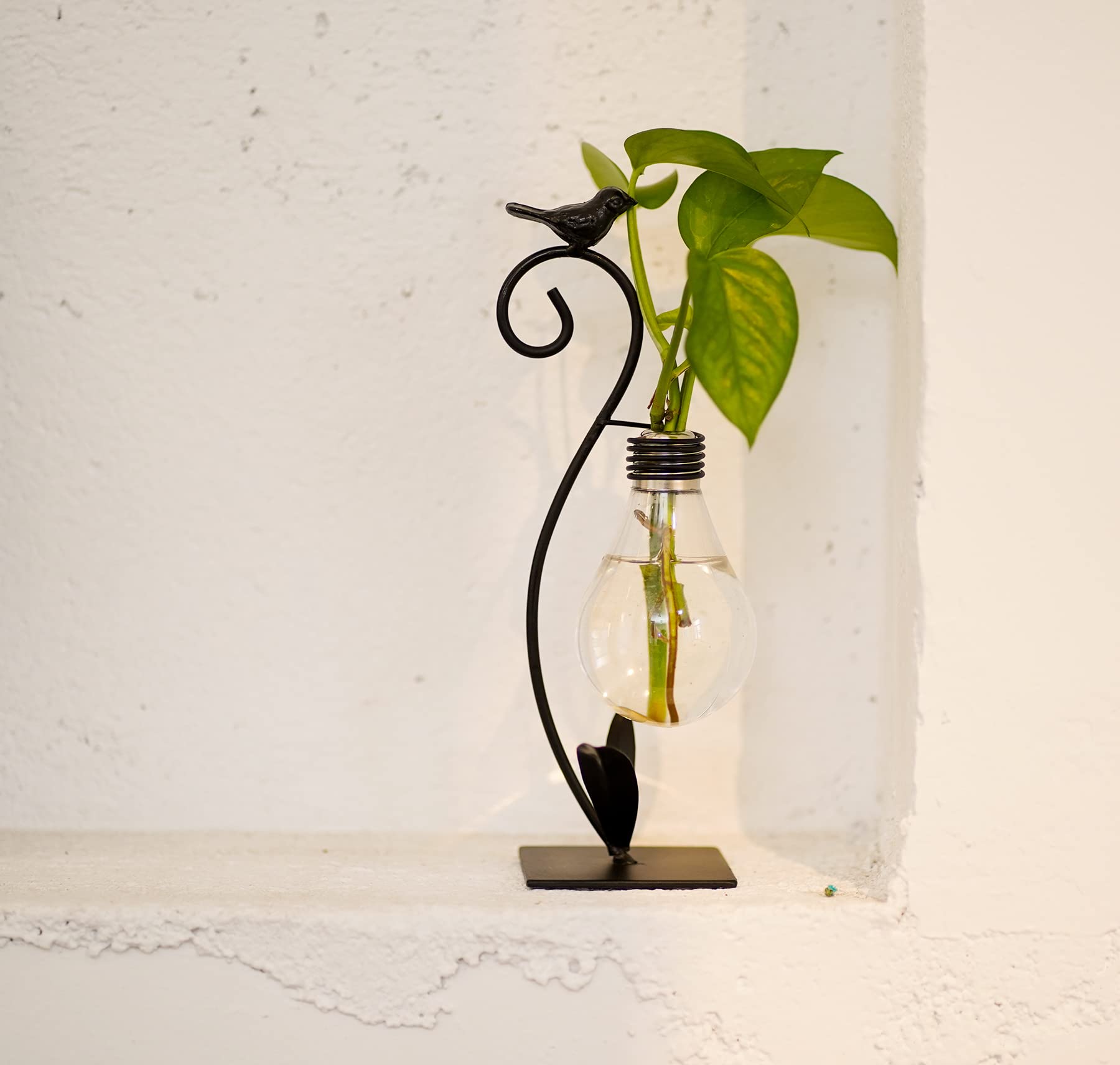 Costruire un terrario per piante: guida per principianti – Simegarden