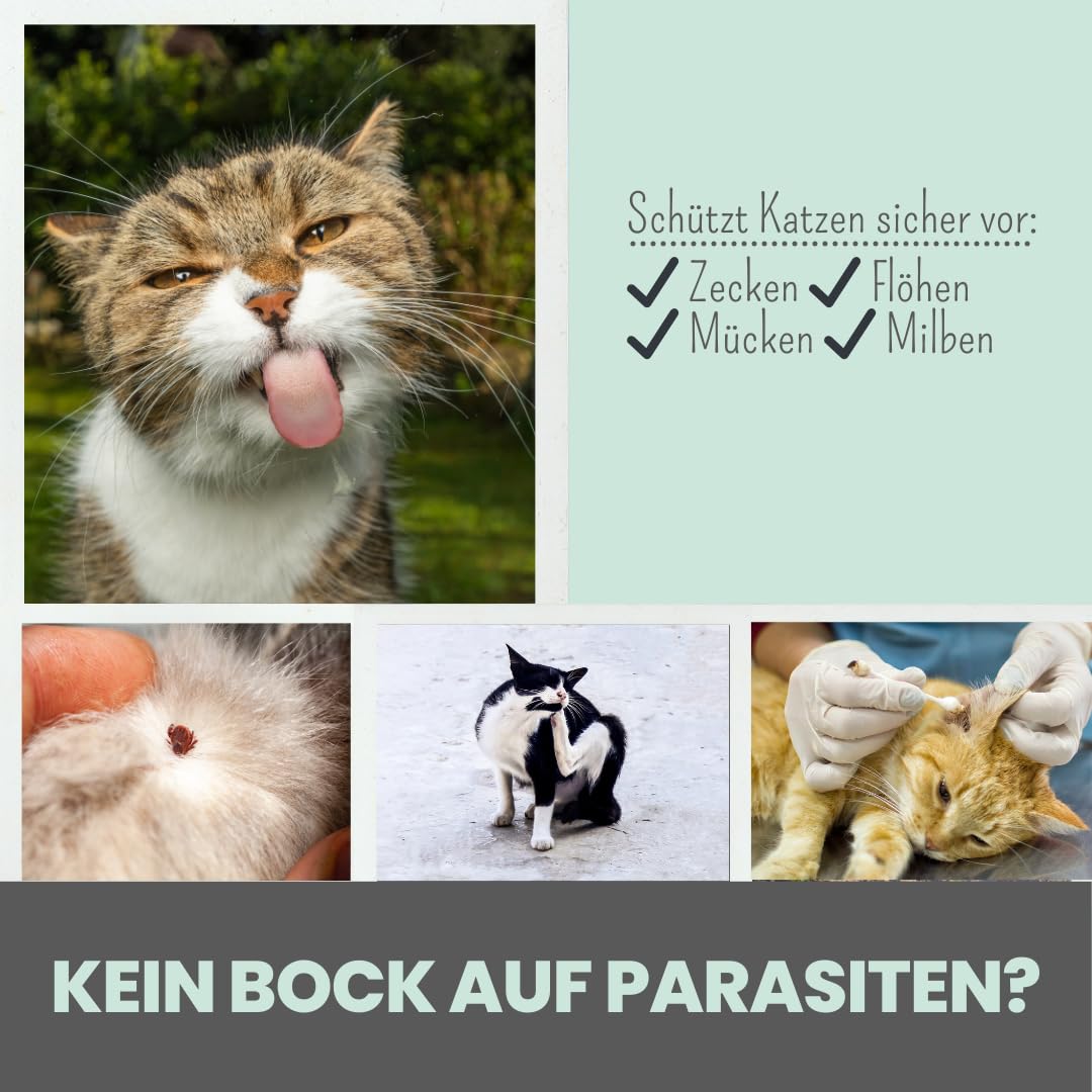Noms+ Zpot-on Zeckenmittel für Katzen Jahresvorrat | Spot On mit pflanzenbasierten Wirkstoffen | gegen Zecken, Milben, Flöhe, Sandmücken
