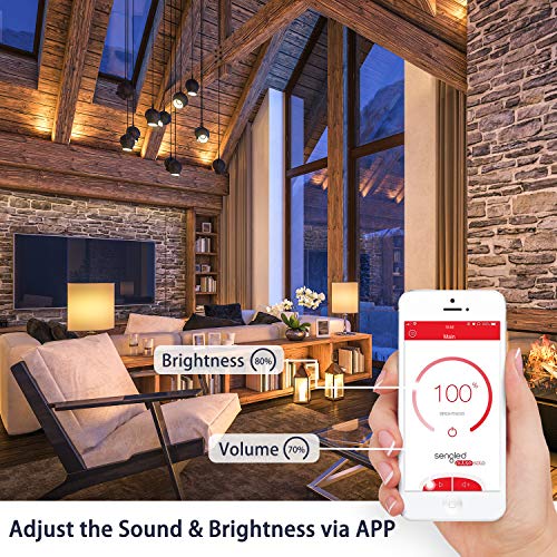 Image of Sengled Solo JBL Speaker Light Bulb Dual Channel Dimmable LED Light App Controlled 45W Equivalent E26 Smart Timing Music Bulb, Compatible with Alexa via Bluetooth Connection