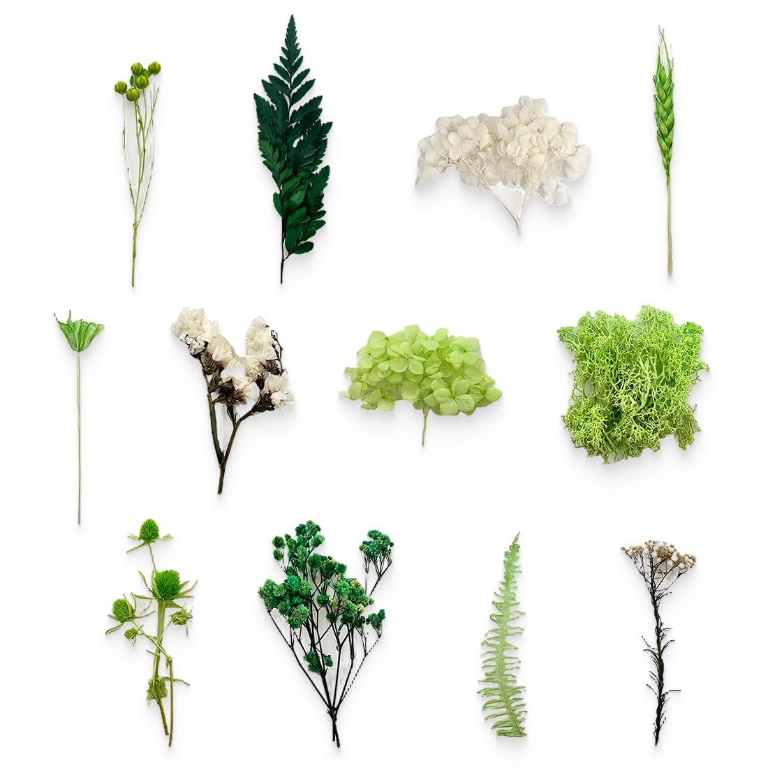 KSJEHW Flores secas Naturales Decorar Flores secas Decoracion jarrones Ramos de Flores secas Flores preservadas Naturales Bouquet Flores Artificiales Centro de Flores secas(verdes)