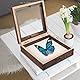CORHAD Vintage Insekten Spezimen Displaybox aus Holz mit Klarem Deckel Deko Box für Schmetterlinge und Trockenblumen Inklusive Pin Polster ohne Insekten