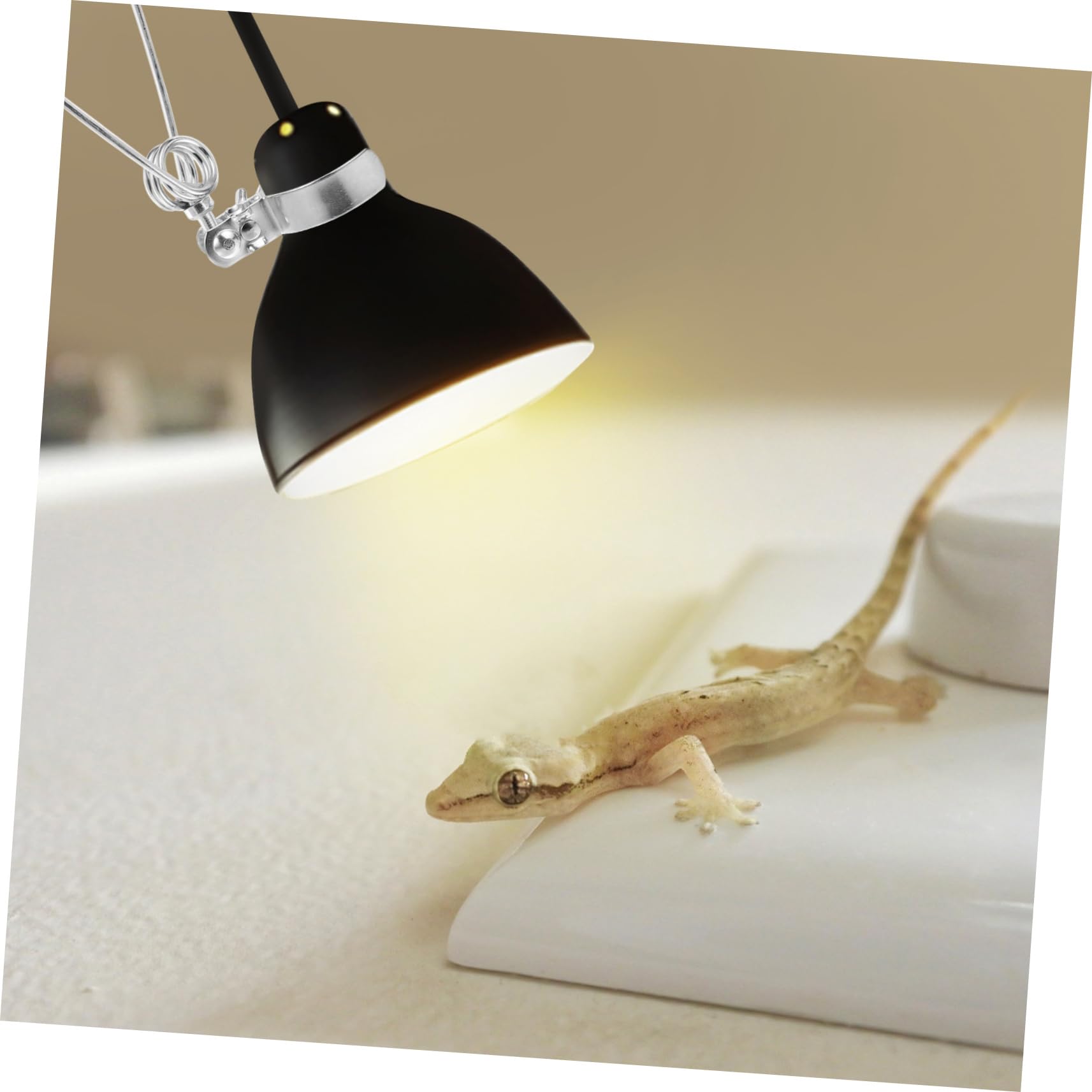 Sosoport 10pezzi Reptile Regolabile Clip Resistente per Lampade Riscaldamento dei Rettili e Acquatiche Facile Installare e Duraturo