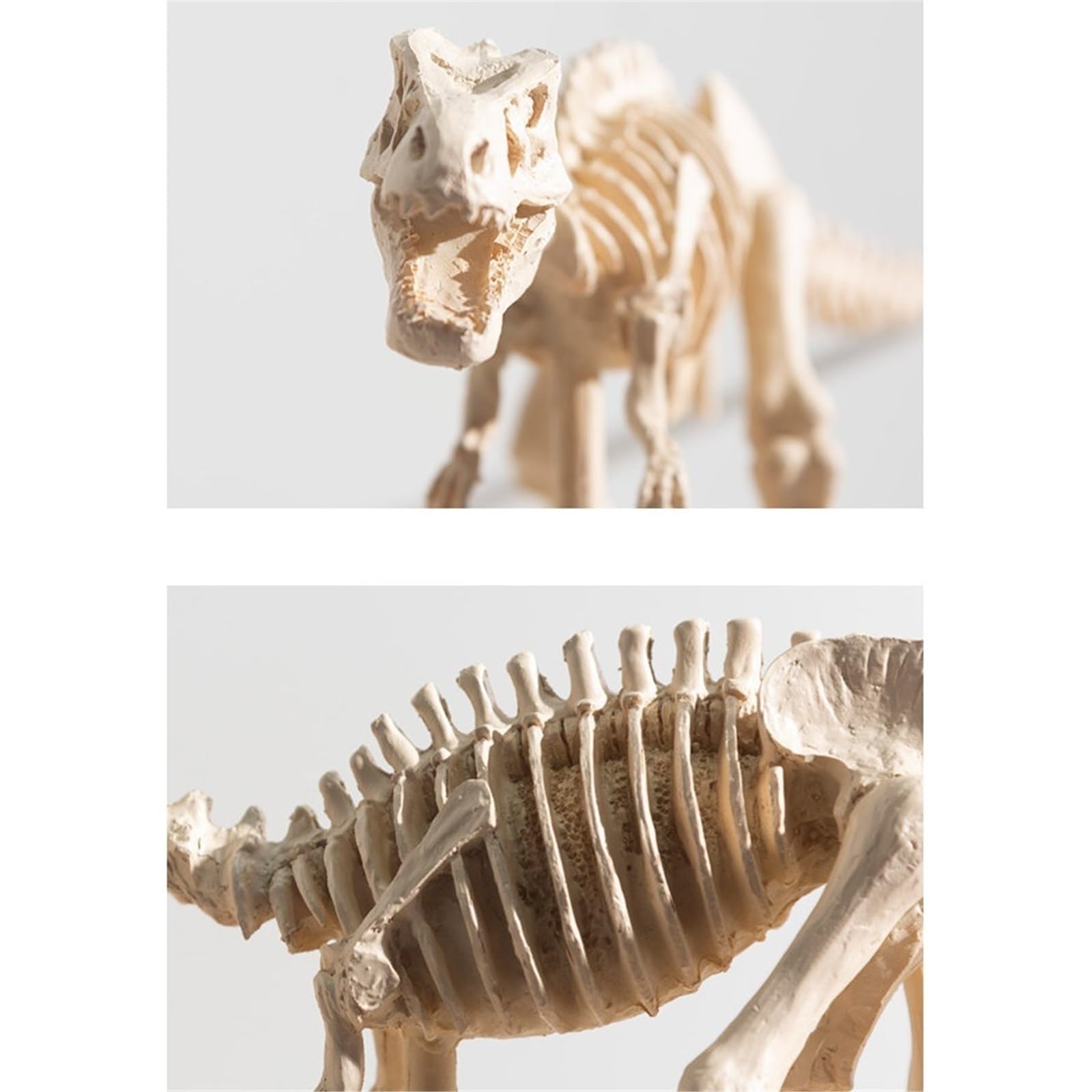 d'Arte Decorazione Realistico Tyrannosaurus Rex Scheletro Scultura in Resina Dinosauro Fossile Decor Figurina da Collezione educativa Decorazione Desktop