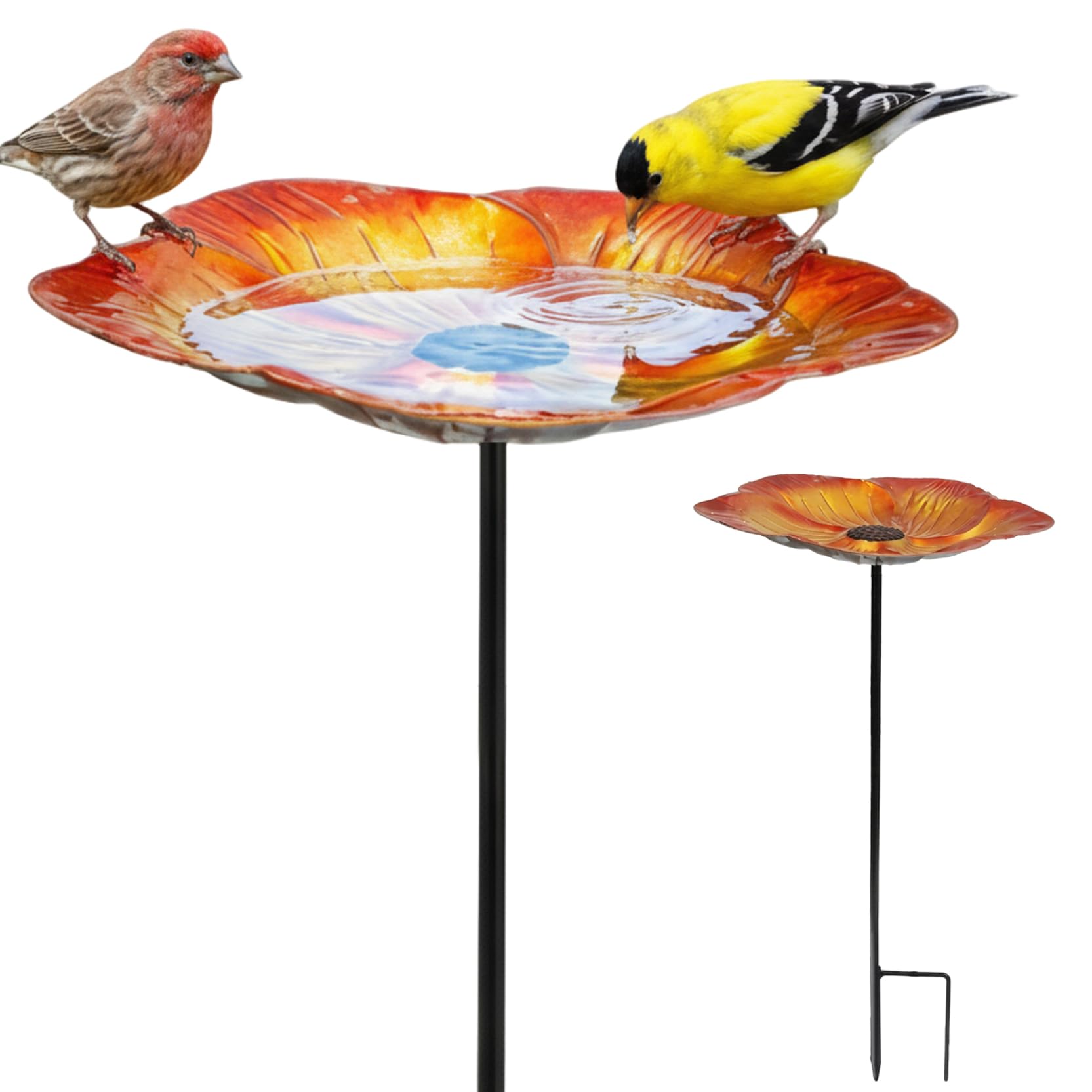 Bol bain pour oiseaux orange au design floral élégant avec piquet métallique résistant