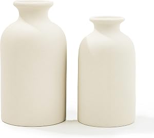 White Ceramic vases Home Decor 2pcs Small vase Set Boho vase Modern Farmhouse Decor (White)