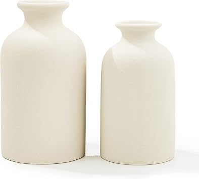 White Ceramic vases Home Decor 2pcs Small vase Set Boho vase Modern Farmhouse Decor White