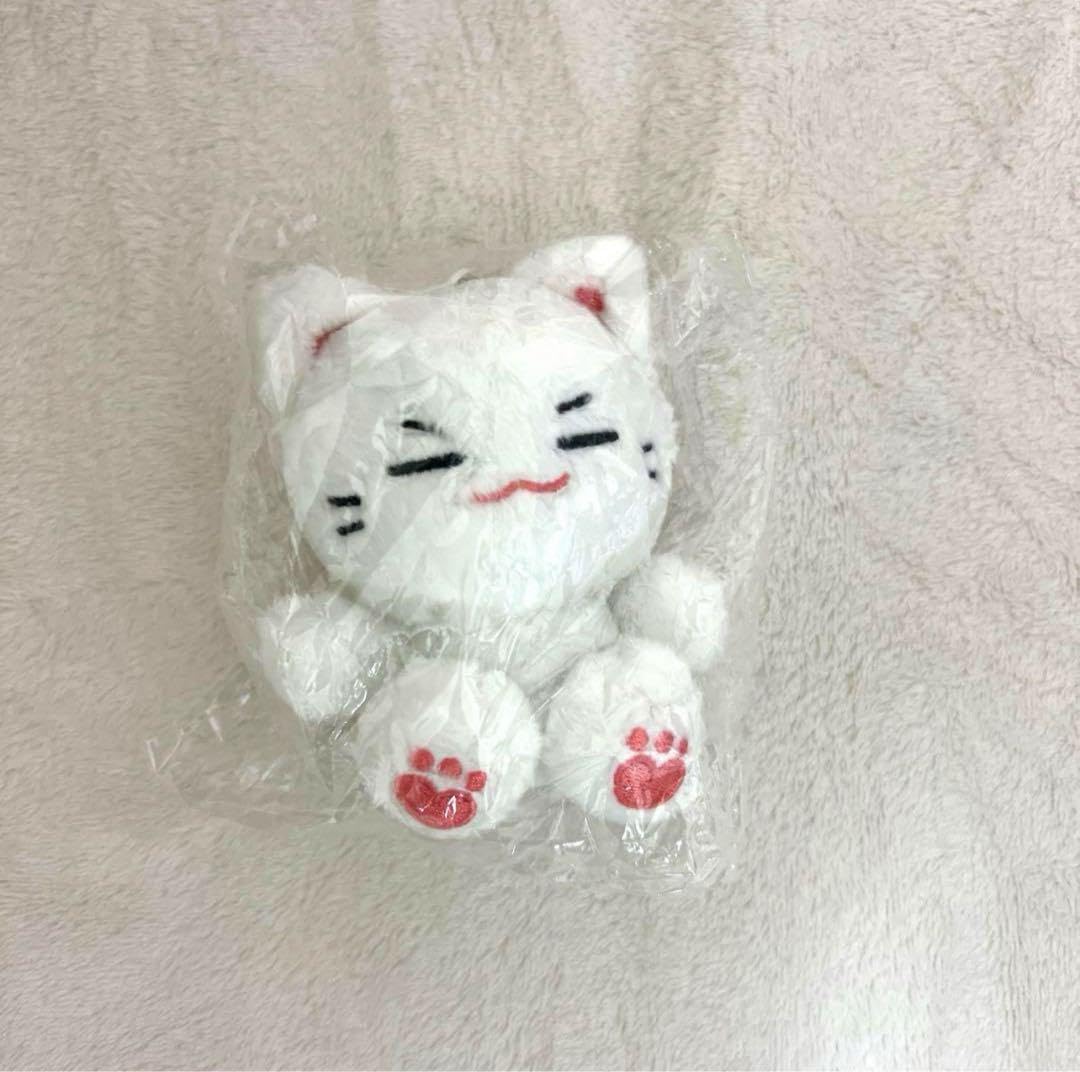 TXT マスタードール ☆ヨンジュン＆テヒョン☆ TXT ヨンジュン ぬいぐるみ 10cm 新品 マスター - メルカリ