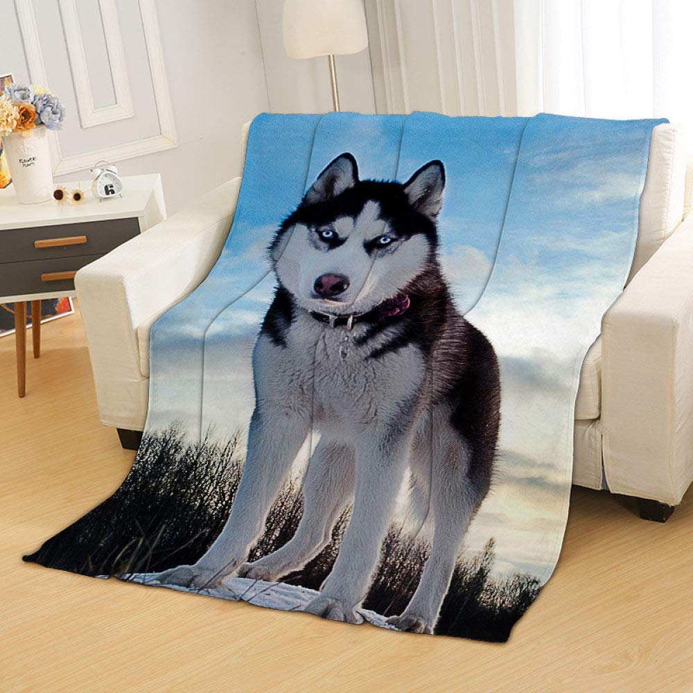 Couverture Sherpa Husky 150x120 cm en peluche douce et épaisse pour pause déjeuner