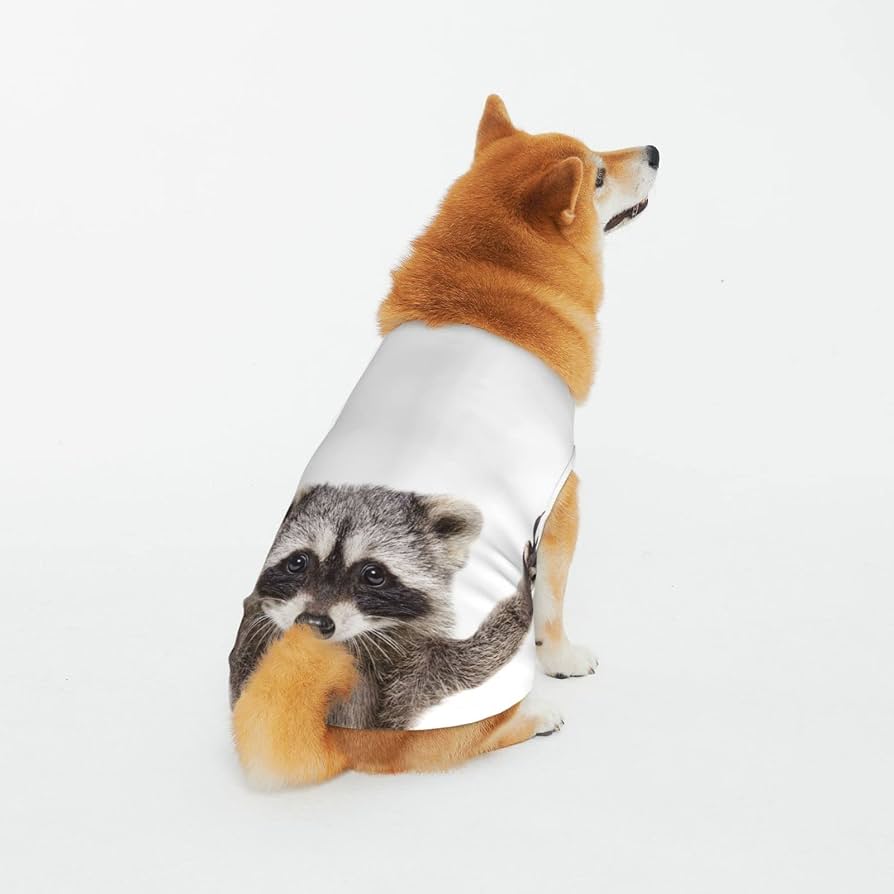 que pasa si un perro se come un mapache