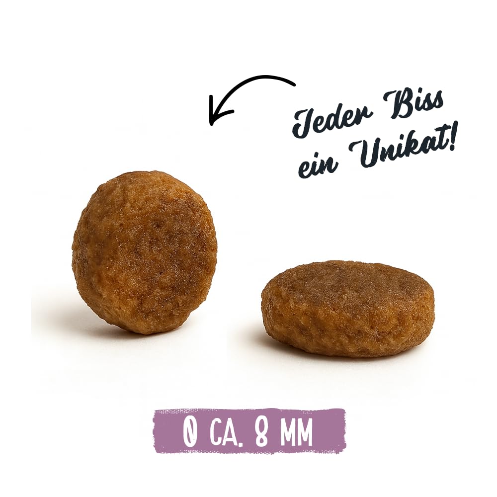 Chicopee Classic Nature Line | Senior Best Age | Katzenfutter trocken | Frisches Geflügel | Für ältere Katzen | Vitamine, Selen, Zink | Inspiriert von der Natur Kanadas | 15 kg
