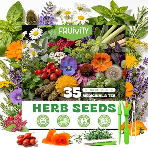 Fruivity 35 Medicinal & Tea Herb Seeds Variety Pack – 16,400+ Non-GMO Heirloom Seeds for Indoor & Outdoor Gardening: Basil, Chamomile, Rosemary, Mint, Oregano, Lavender & More