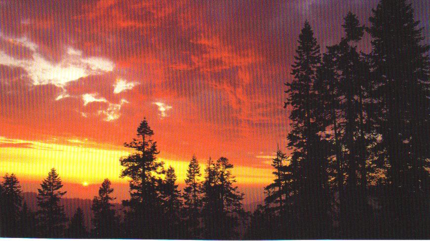 Perhaps His Best CD in All These Years - Amazing!