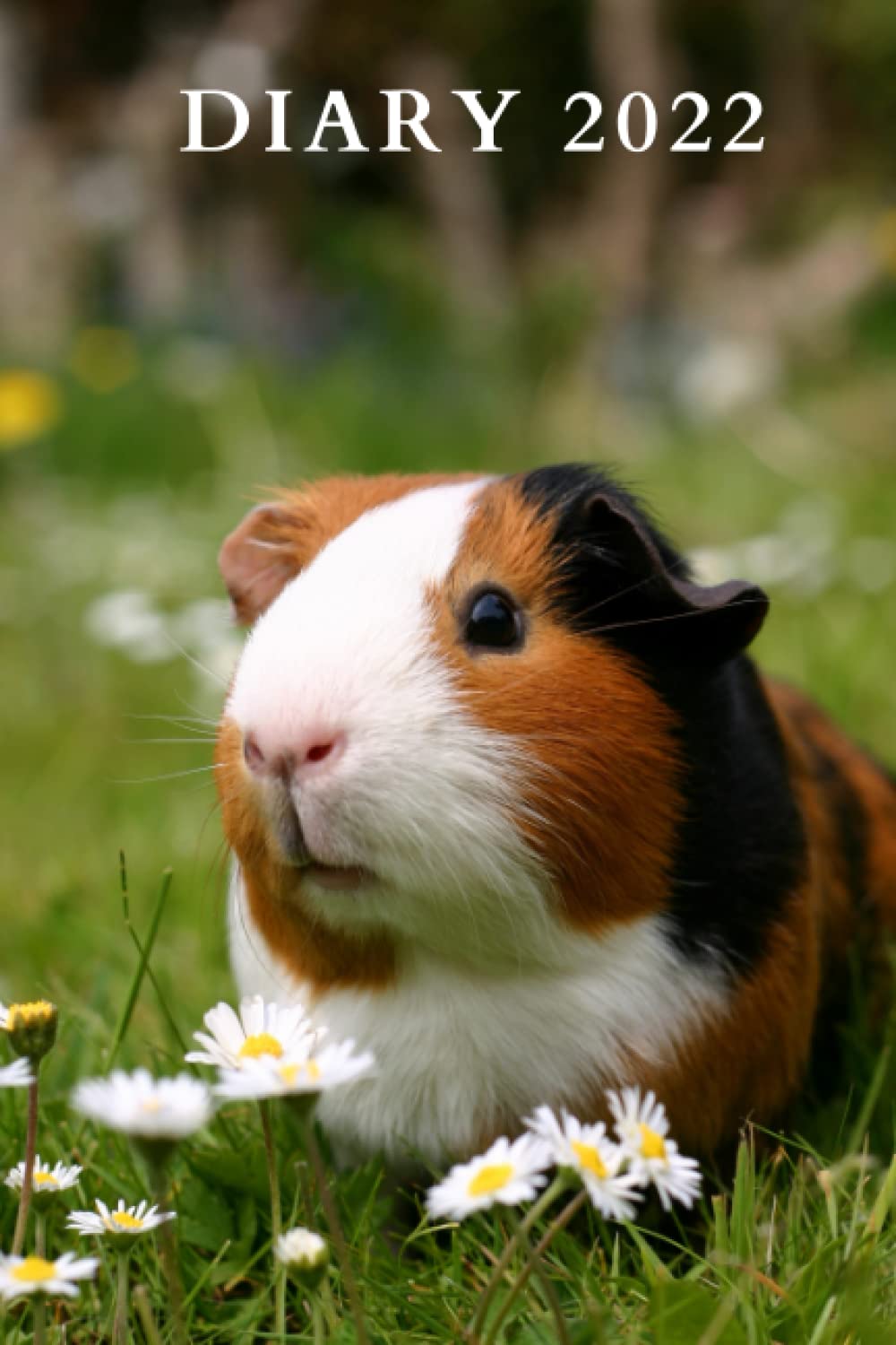 Guinea Pig Diary 2022: Week to view, 9 x 6 inch, Perfect gift for women, men, and guinea pig lovers