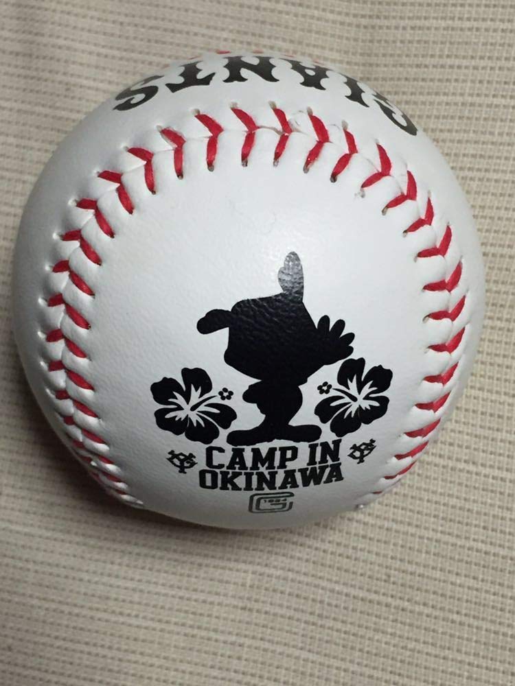 早い者勝ち！高橋優貴投手 直筆サイン色紙＋ベースボールカード 読売ジャイアンツ 早い者勝ち！高橋優貴投手 直筆サイン色紙＋ベースボールカード