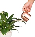 IMEEA Watering Can Indoor Stainless Steel Watering Can for Indoor Plants 15oz/450ml (Rose Gold)