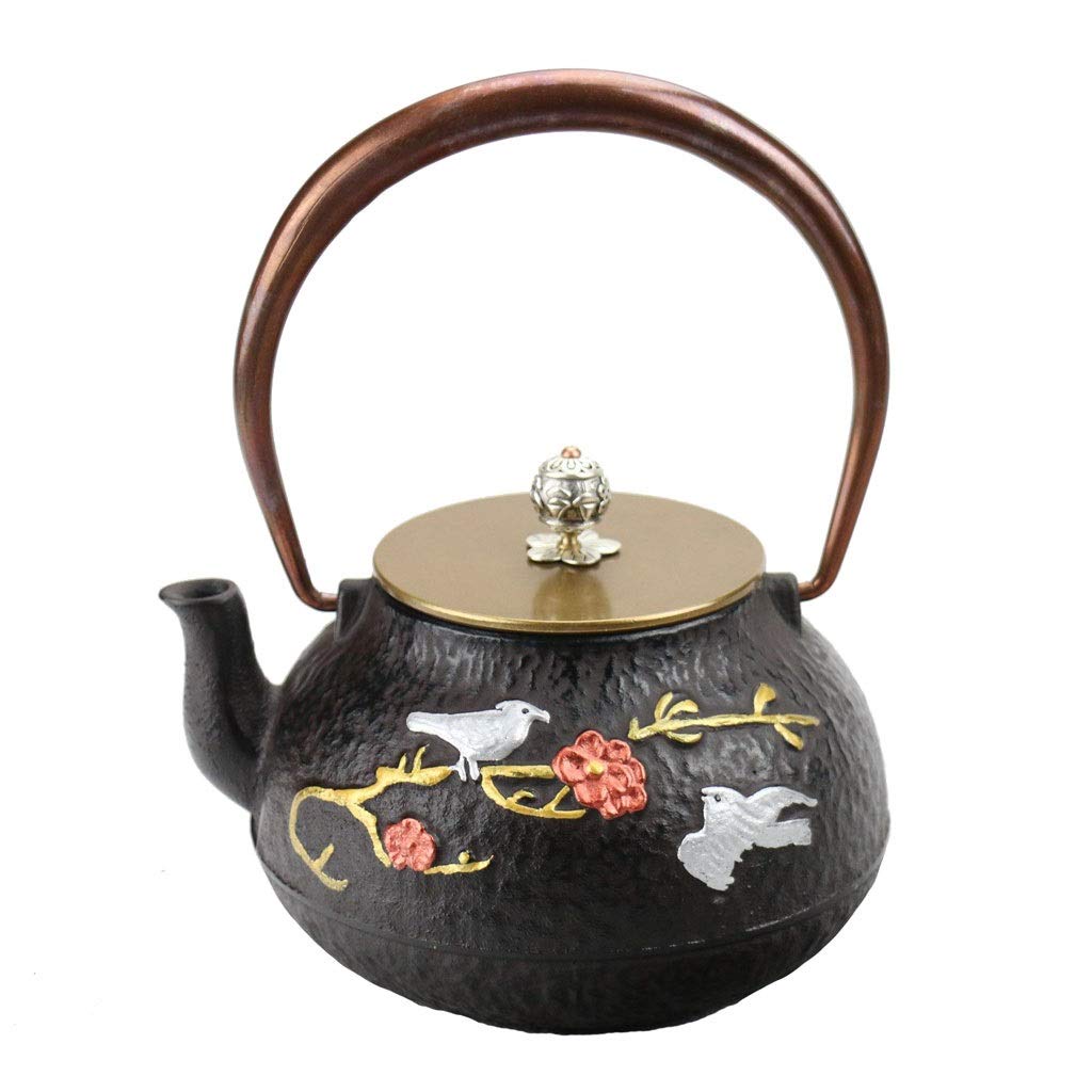 TYUHDUYUR Classic Tea Kettle, Cast Iron Teapot,Japanese Cast Iron Teapot Kettle for Loose Leaf Tea and Teabags, Tea Kettle Stovetop Safe, Fully Enameled Interior