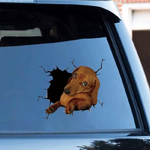 Zpahq Adhesivo de vinilo 3D impermeable para perros para pared portátil ventana camión parachoques y refrigerador