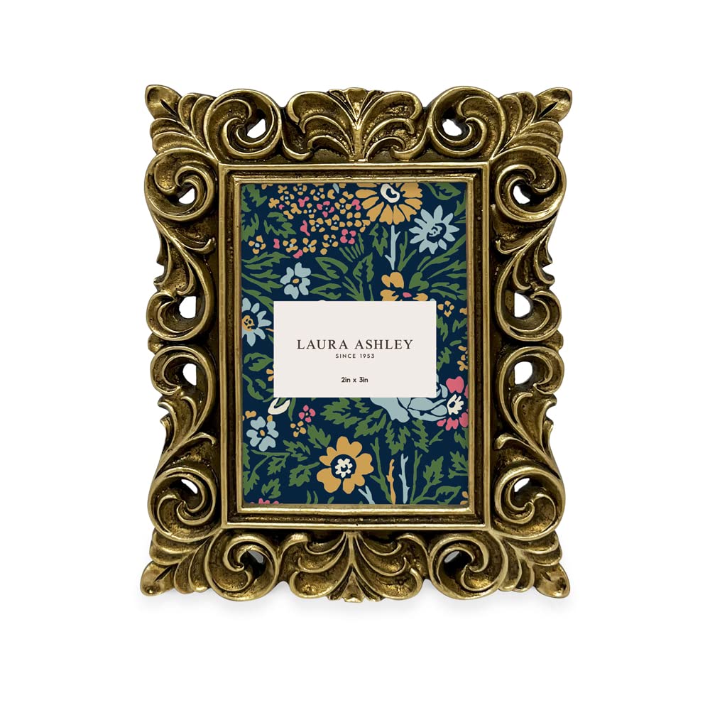 Amazon.com - Laura Ashley 2x3 Gold Vintage Inspired Resin Scroll