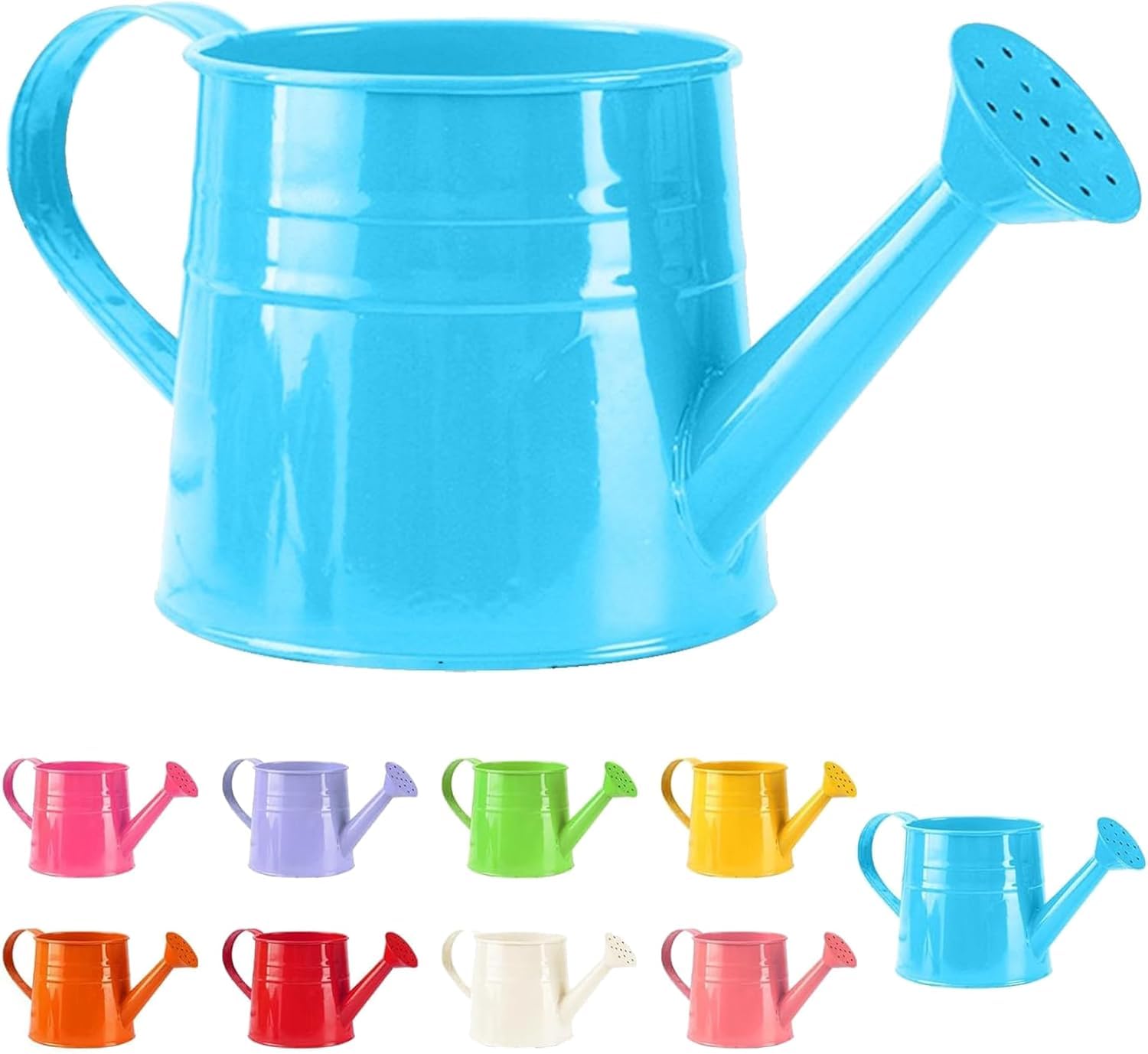 1 Gallon Watering Can, Outdoor Watering Can with Long Spout Nozzle, Durable Plastic Plant Water Cans for Home Patio Garden (Blue)