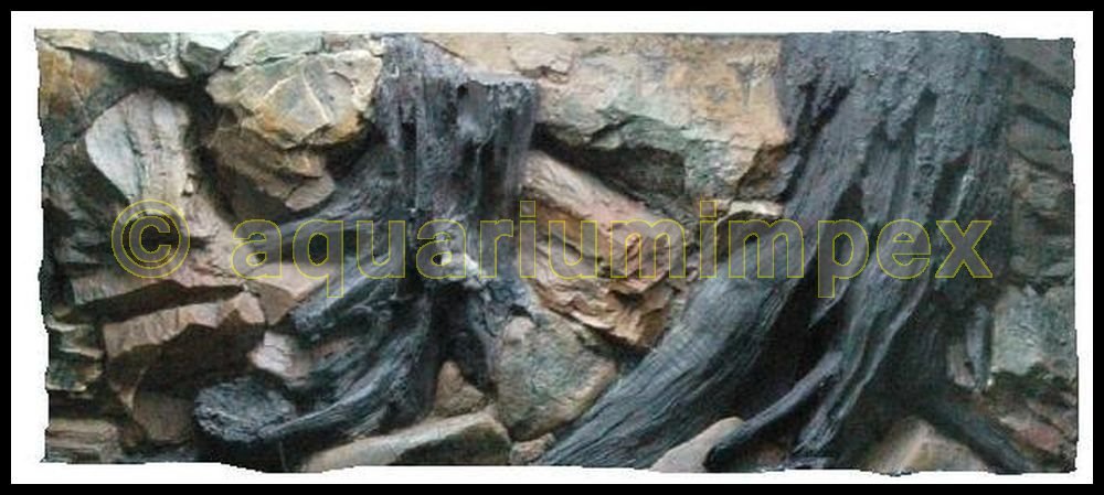 3D Aquarienrückwand 100x50 Root