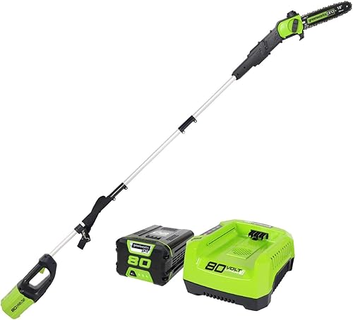 Miniatura 2 de Greenworks Pro 80V 10 pulgadas sin escobillas, batería de 2Ah y cargador incluidos PS80L210 y cadena de repuesto de 10 pulgadas, 2937002 y estuche