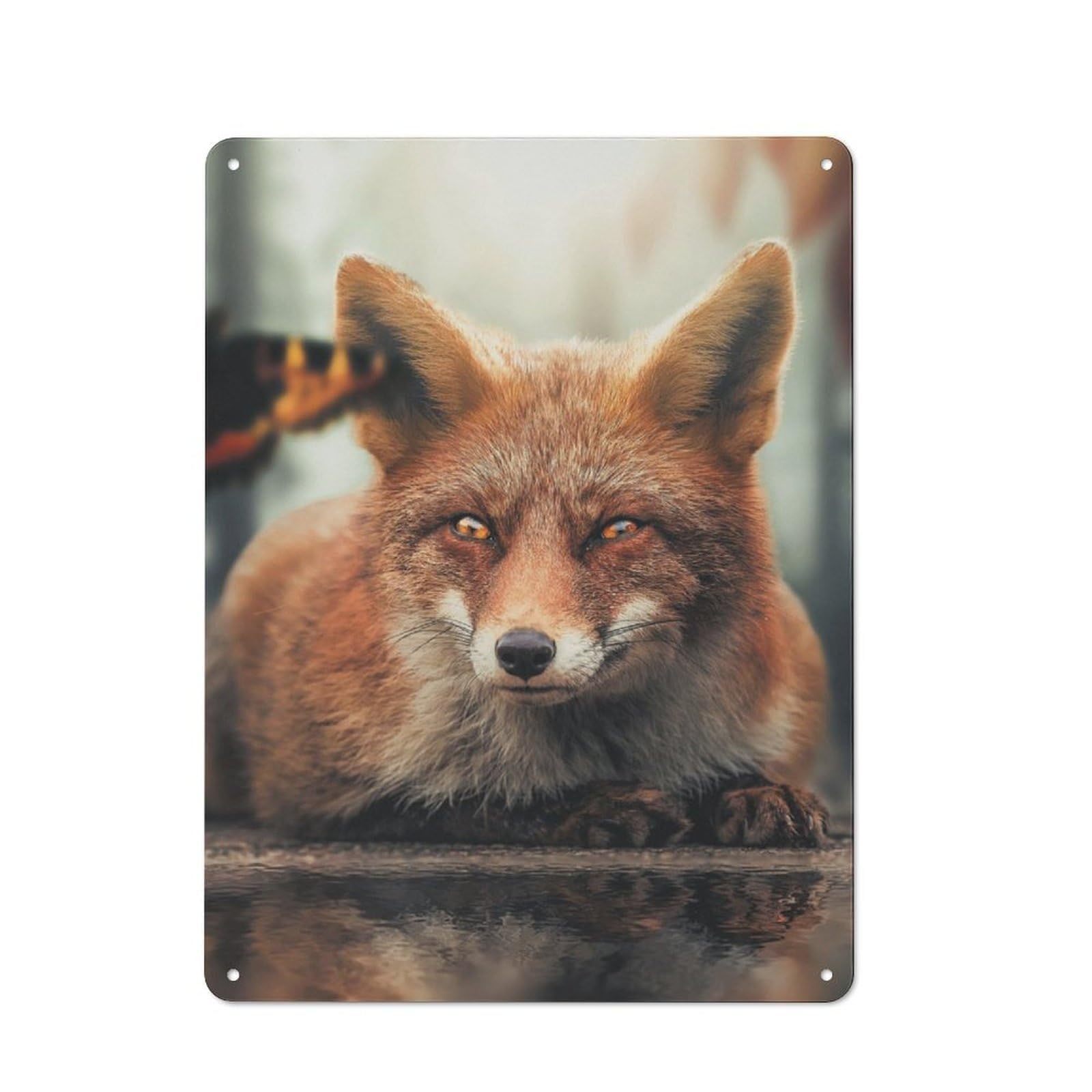 Junmoney The Fox And Butterfly Tin Wall Plaque 40X30cm With For Guest Room Or Hallway, For Metal Sign Collectors, For Garage And Workshop Walls