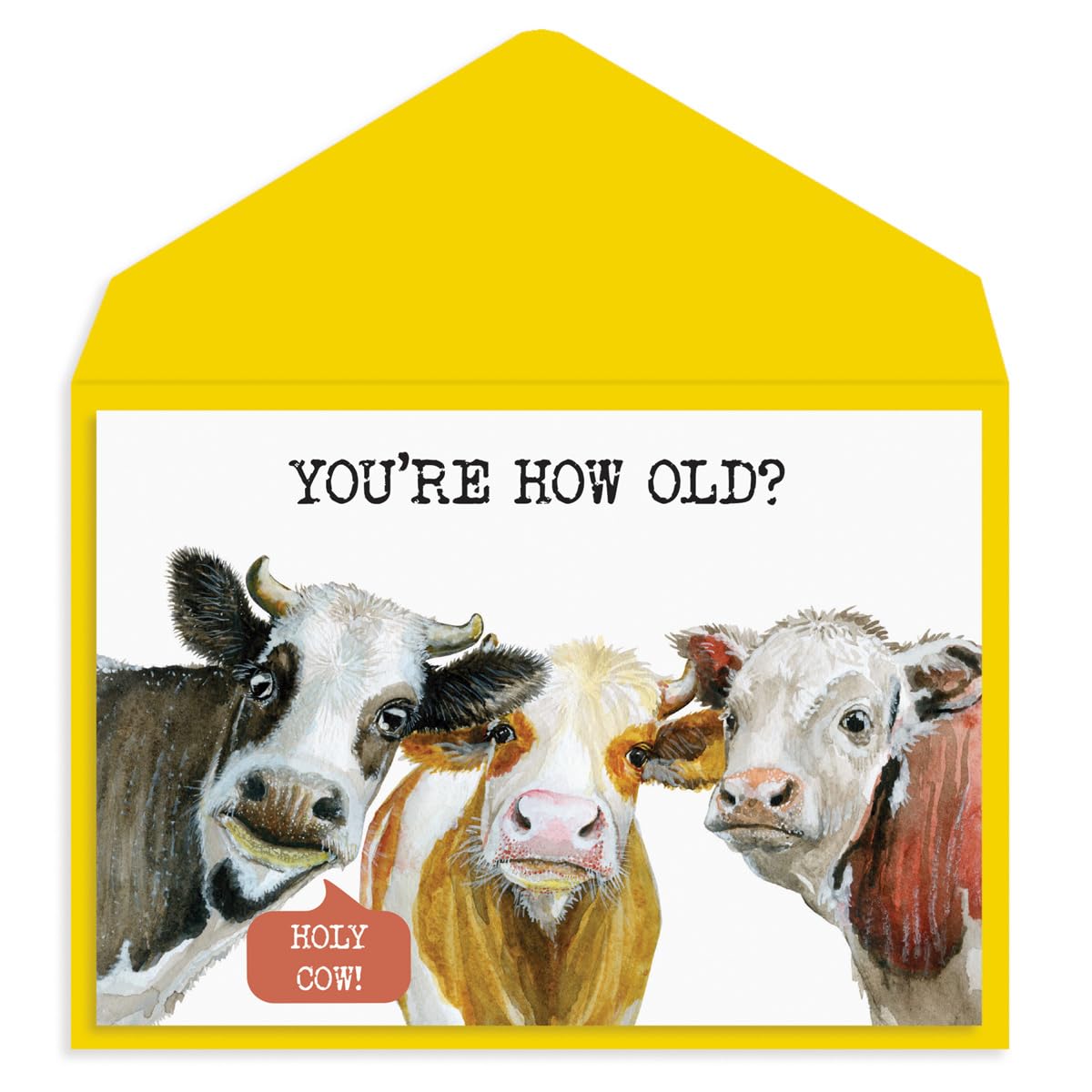 Graphique Cows Birthday Card, Family and Friends, Color-Coordinated Envelope, 5" x 7"