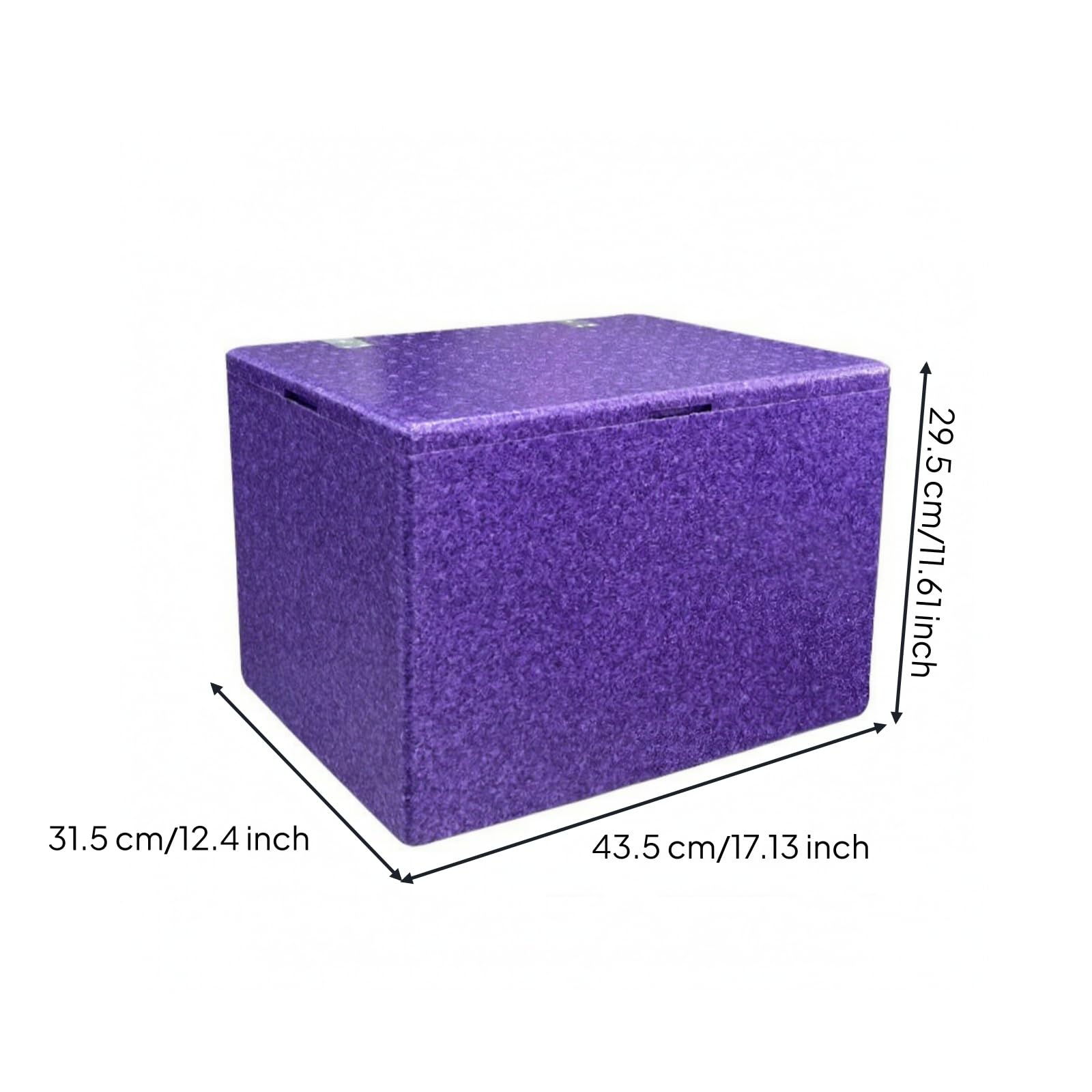 Box Termico per Alimenti Riutilizzabile | Resistente, Robusto, Frigo Portatile, per Campeggio