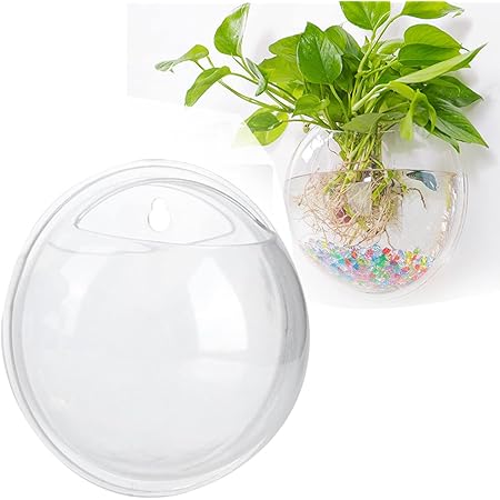 Amazon Co Jp 金魚鉢 壁掛け水槽 観葉植物ポット 半球型 アクアリウム 小石 花瓶 ガラス水草ポット 壁掛け花瓶 壁植木鉢 230ml ペット用品
