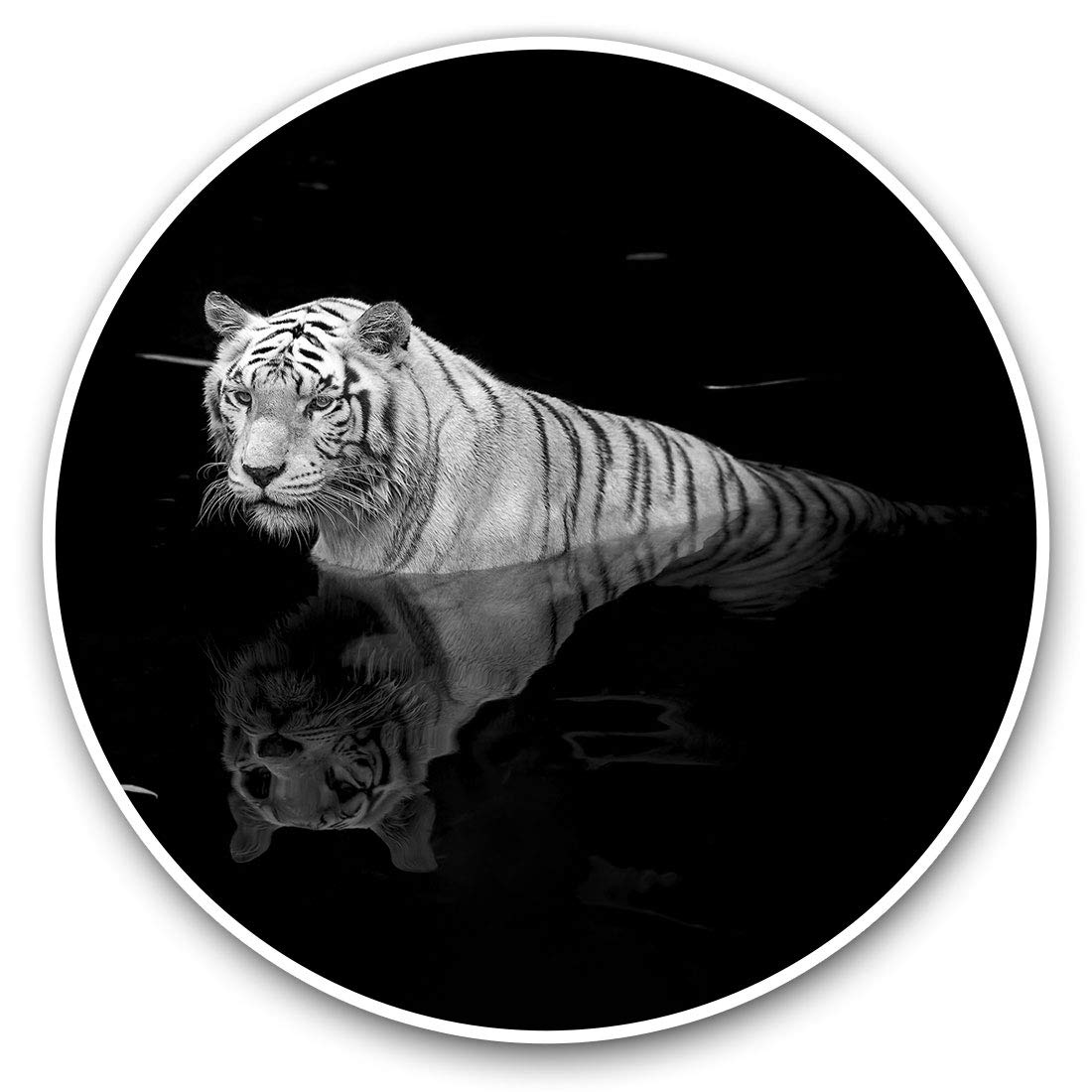 Destination Vinyl Ltd White Tiger Big Cat Wild 2286 Vinyl Stickers (Set Of 2) 7.5Cm - White Tiger Big Cat Wild #2286