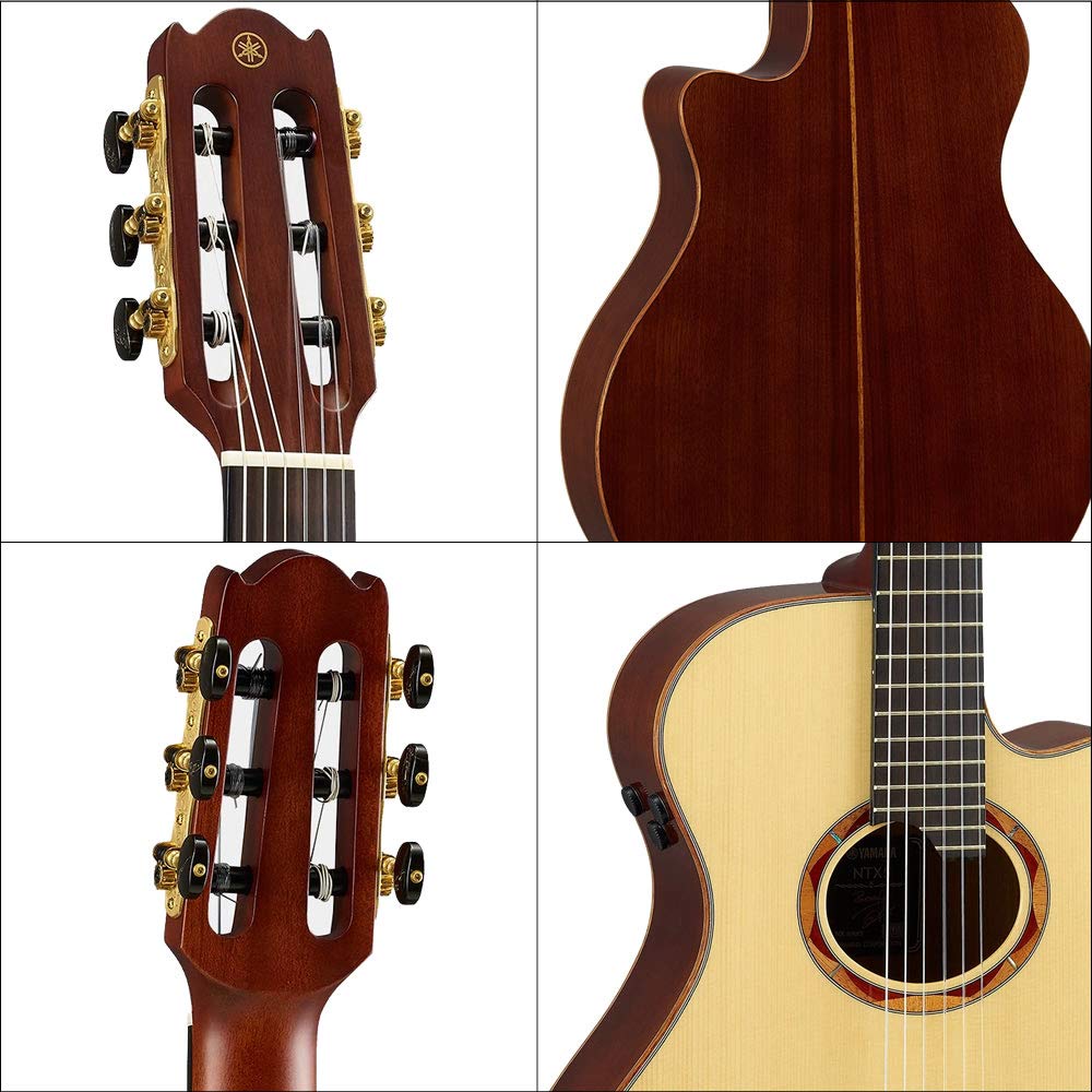 Amazon | YAMAHA エレガット初心者入門 日本製 すぐに始められる