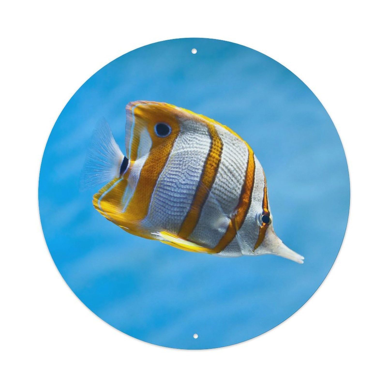 Animal Beautiful Diamondback Fish Metal Tin Sign