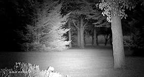 Review Image by RP RP