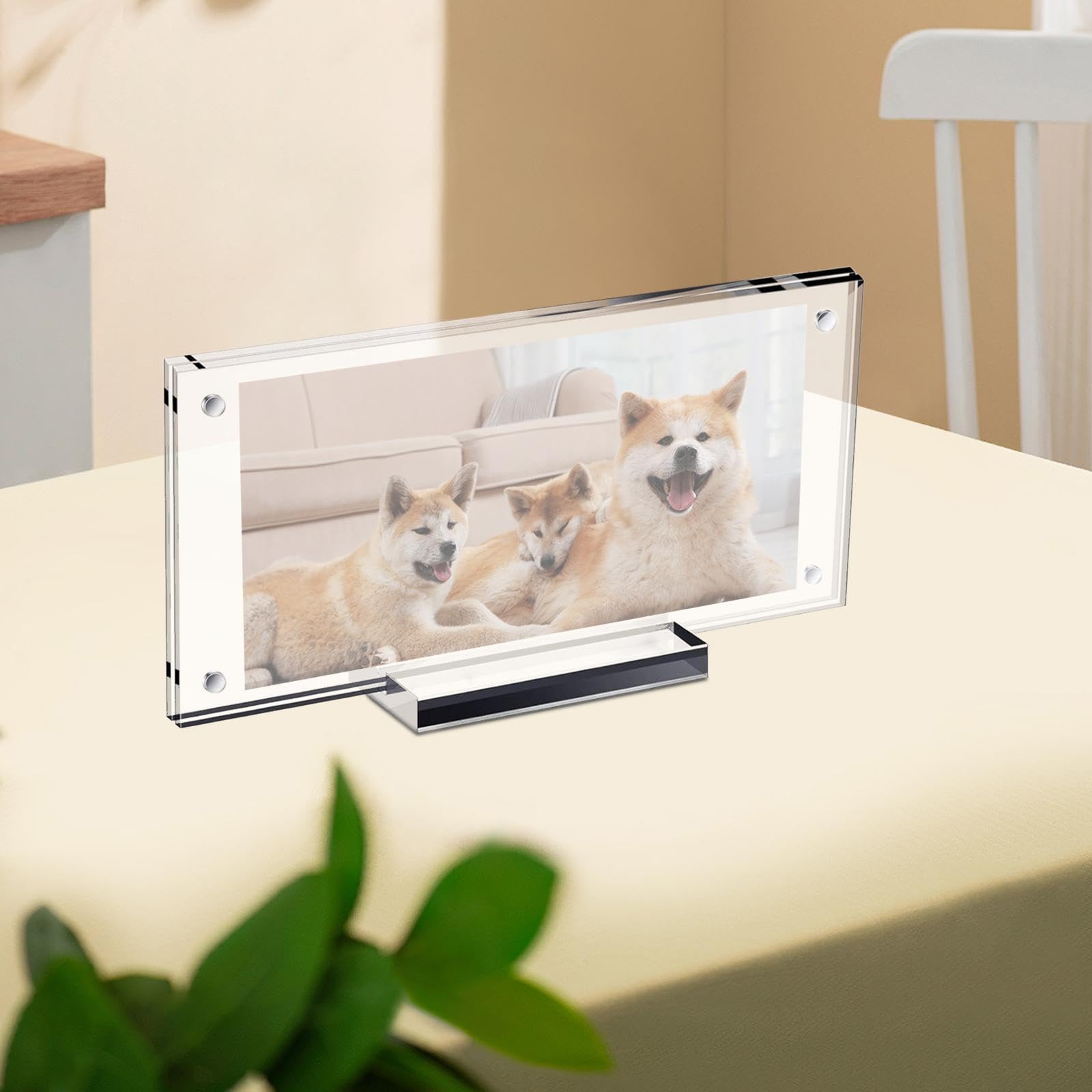 Amazon.co.jp: Kuntesetty 写真立て ドル紙幣フレームホルダー ベース