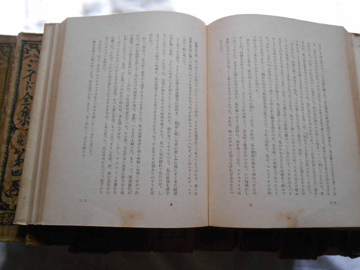 Amazon.co.jp: 老蘇 書籍 アンドレジッド 海外の文学者 「 アンドレ