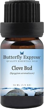 Clove Essential Oil 10ml - 100% Pure by Butterfly Express