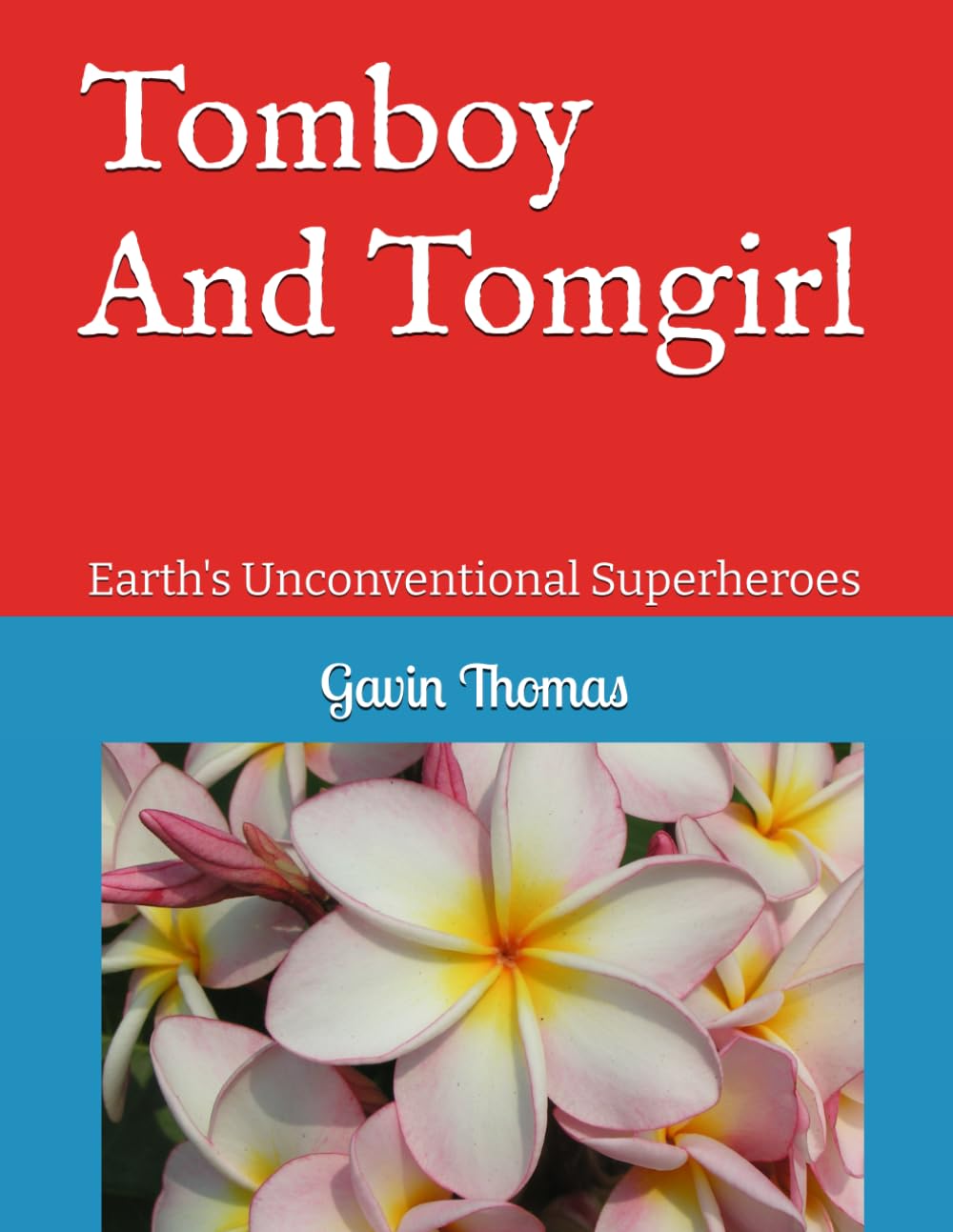Tomboy And Tomgirl: Earth's Unconventional Superheroes