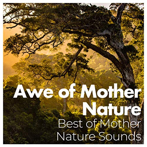 Amazon Music Best of Mother Nature SoundsのAwe of Mother Nature