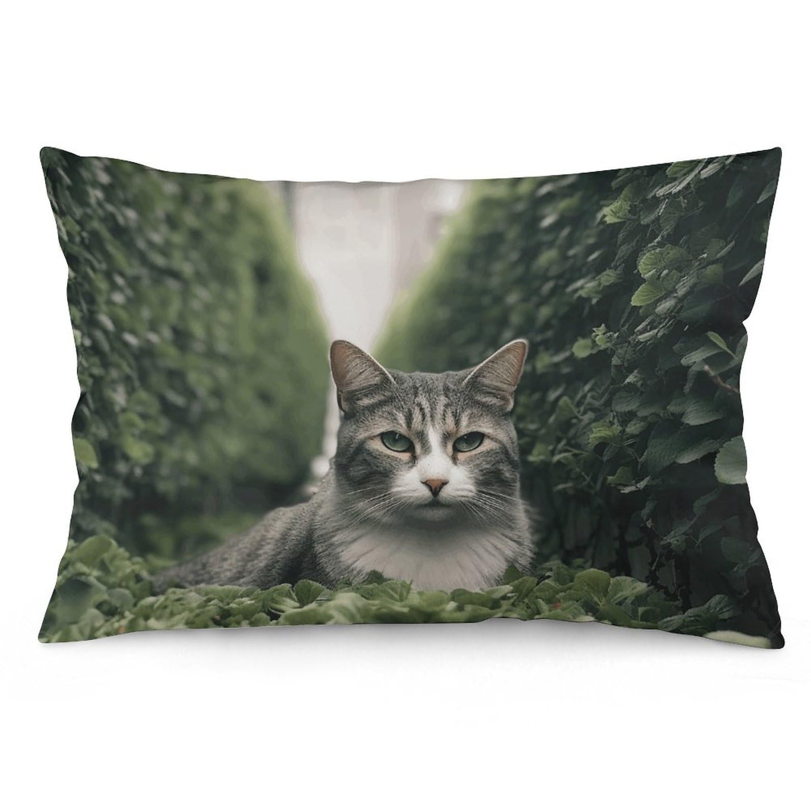 2 Pack Pillow Cases for Hair and Skin, Soft Breathable Pillow Case Covers with Hidden Zipper, Cat on The Ground Pillowcase 20"x30" Pillow Covers for Sleeping Gift