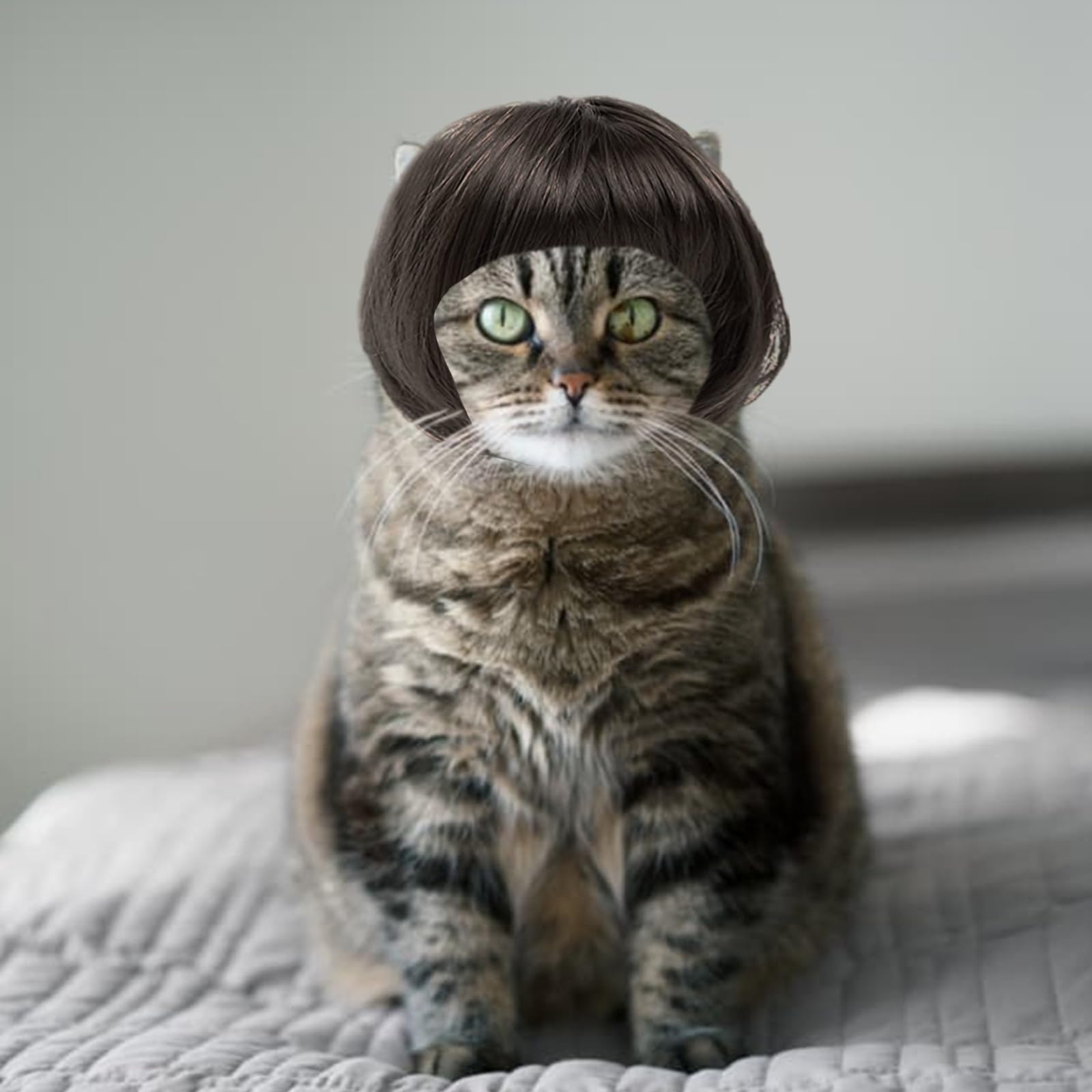 Disfraces Para Perros Pequeños Disfraces Para Perros 5 Pelucas Divertidas  De Perro Y Gato Para Perros Pequeu00f1os, Medianos Y Grandes Con 3 Lazos  Para El Pelo, 1 Clip De Flor, Disfraz De, image size:1600x1600