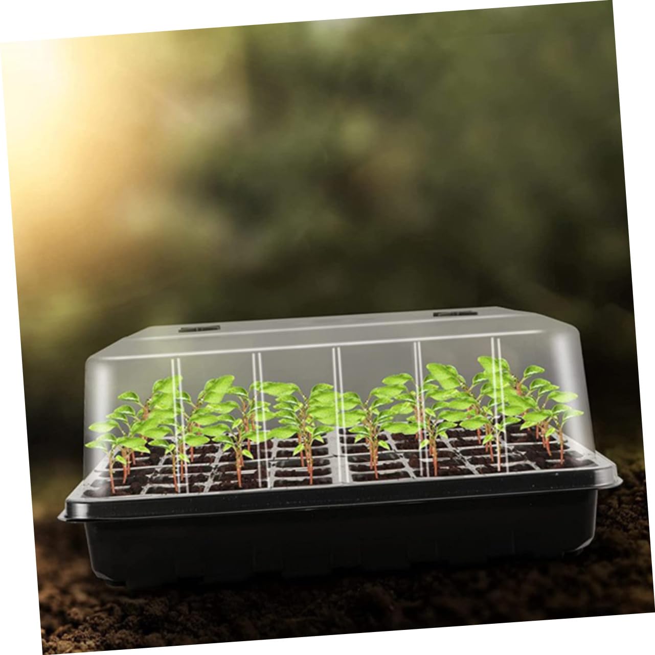 BESPORTBLE Humidité pour Plantes avec Plateau De Semis Plastique Plateau De Démarrage De pour Germination De Plantes De Croissance De Semis