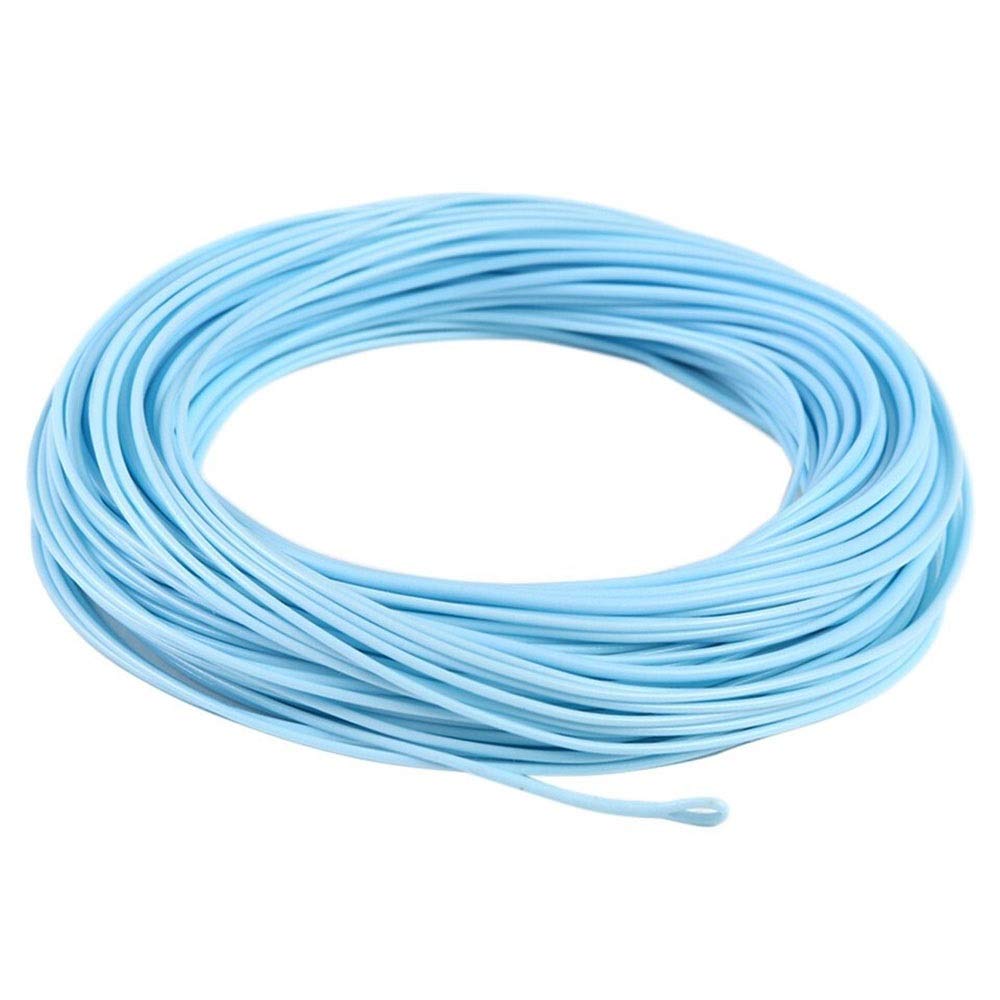 FINE MEN WYX-DYX, Saltwater Fly Line 90FT 8wt/9wt/10wt 2 Welded Loops Floating Fly Fishing Line Sandy Blue Color (Line Number : 10)