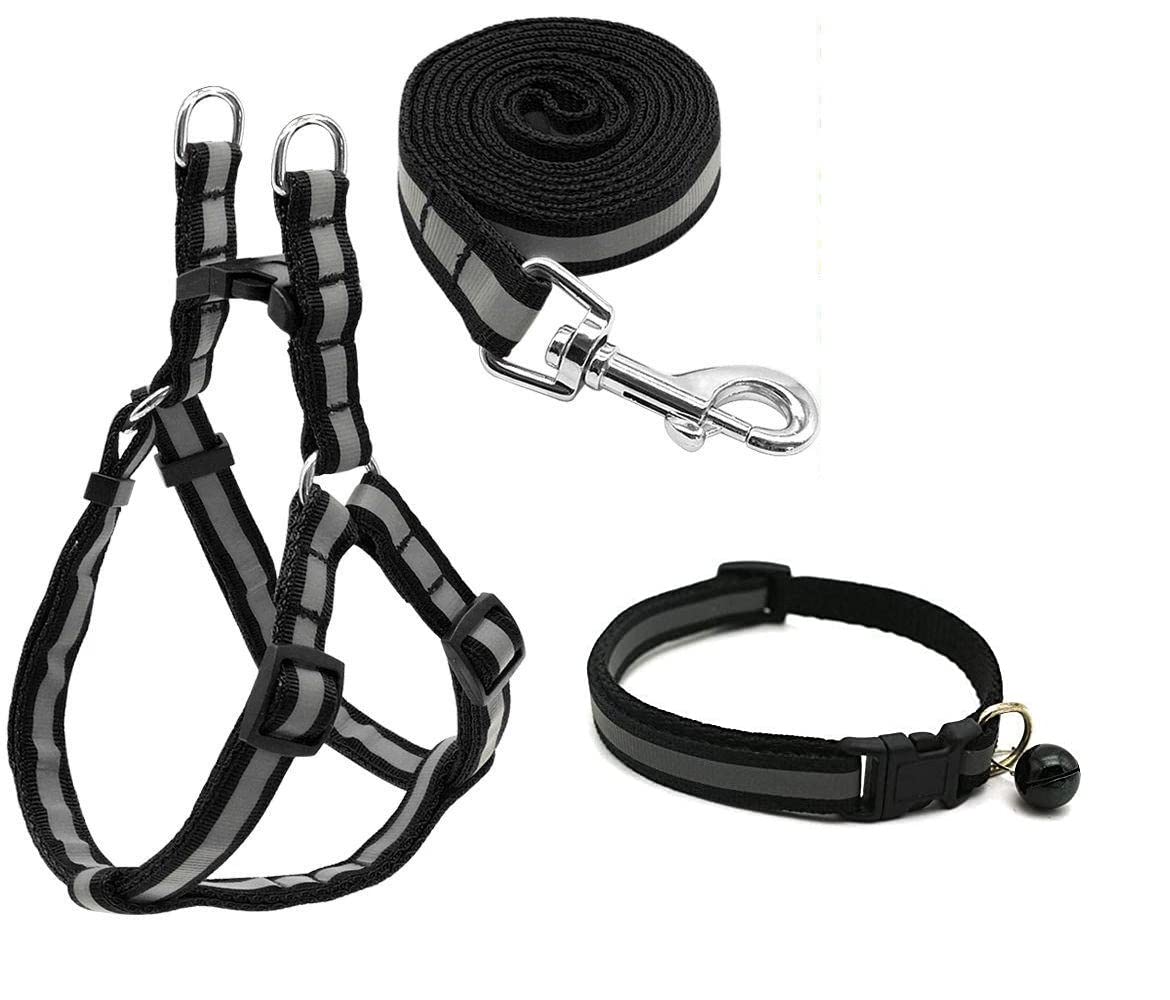 RvPaws 15 mm Reflective Adjustable Soft Nylon Puppy Collar, Harness & Leash Set for Puppy & Small Dogs - Pack of (Collar + Harness + Leash) (Black) (B09P9TKDCB) Amazon Price History, Amazon Price Tracker