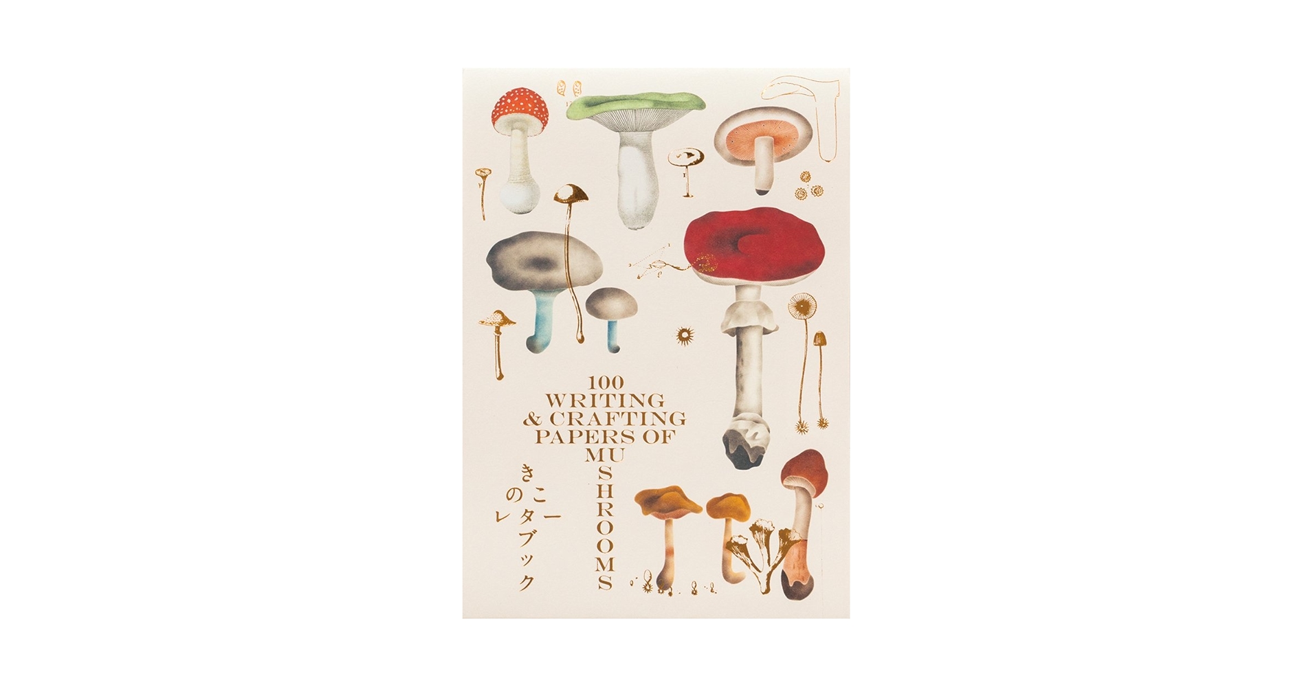 洋書 Mushrooms Amazon.co.jp: Mushrooms: River Cottage Handbook No.1