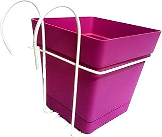Mintra Square Culinary Planter - Fuchsia - 18x18cm with Metal Stand